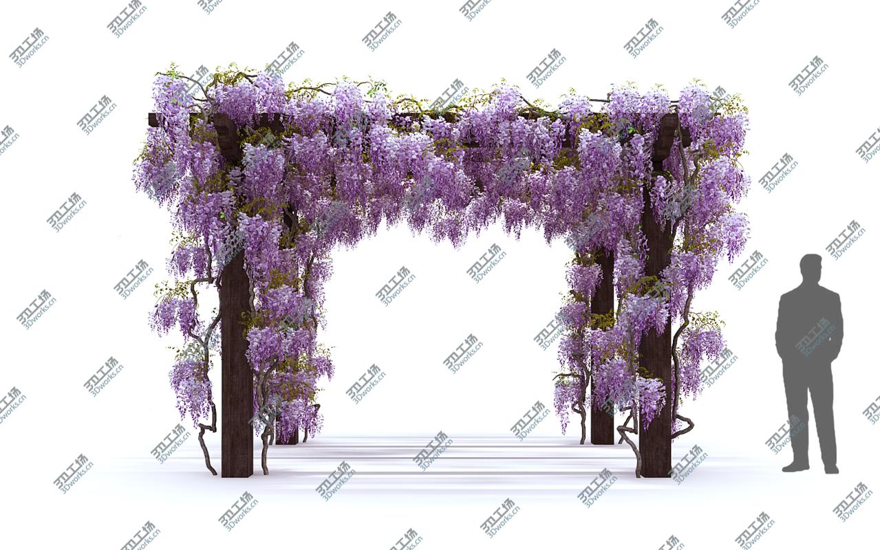 images/goods_img/2021040235/Wisteria Pergola 3D/4.jpg